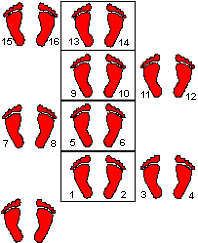 speedladder-lateral-feet-drill