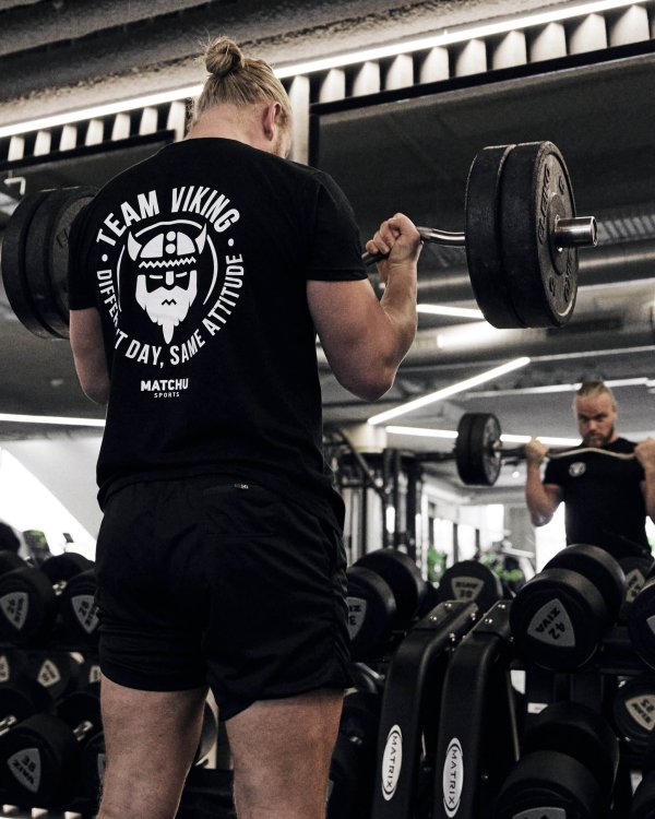 KV team viking shirt